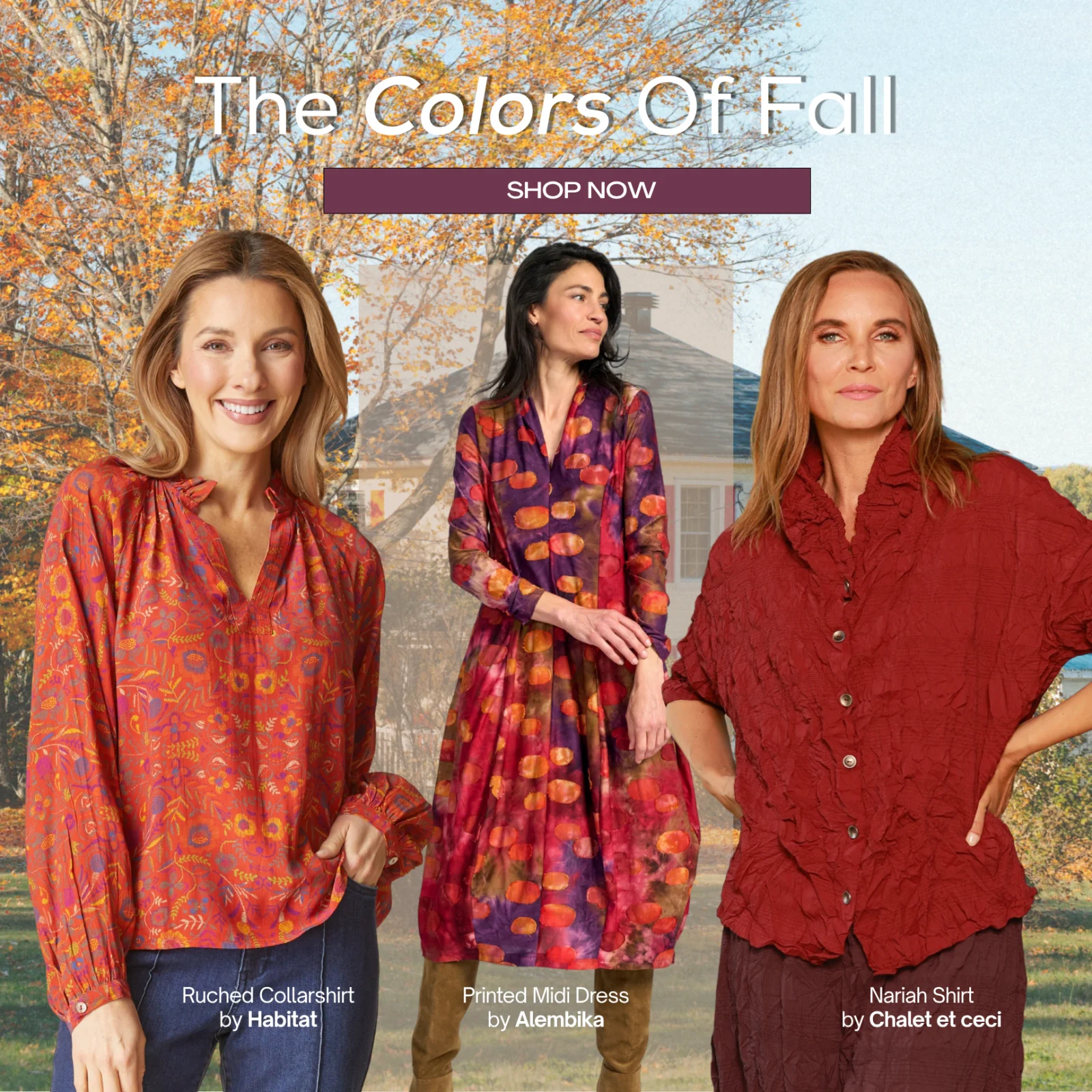 Colors of Fall