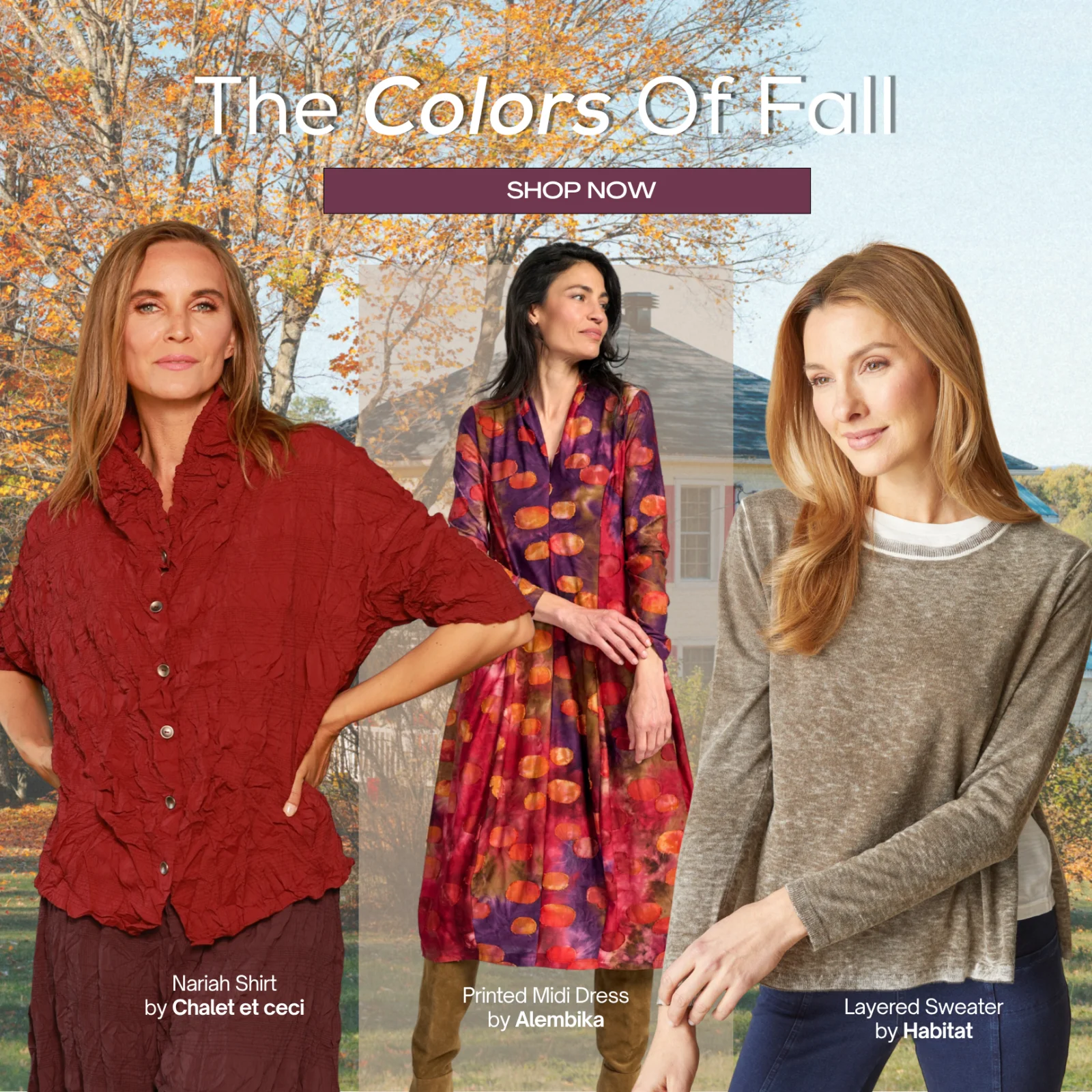 Colors of Fall